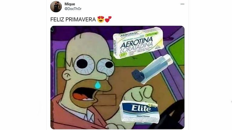 Los memes por la llegada de la primavera 20220921