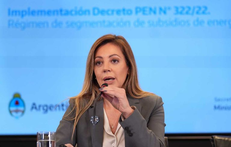 La secretaria de Energía, Flavia Royón
