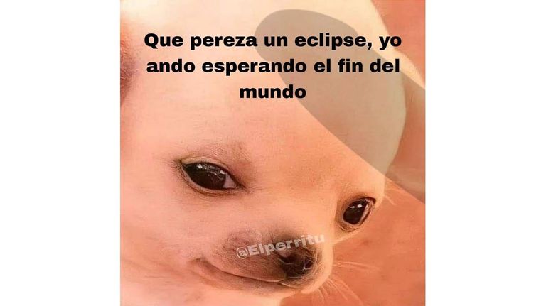 Memes Eclipse Solar 2024