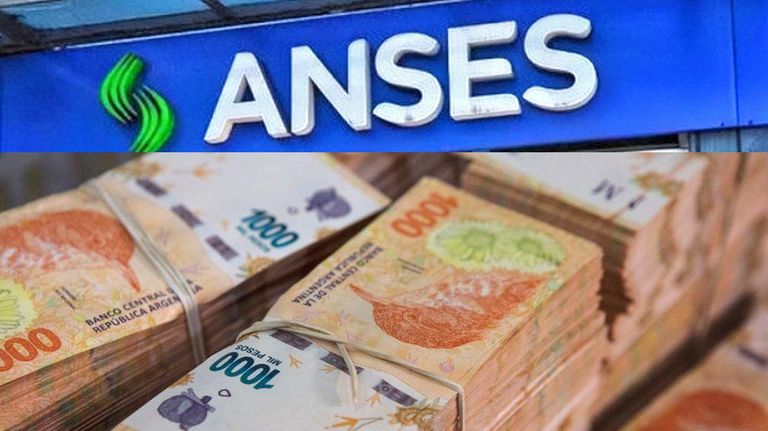Pesos para ANSES 20220422