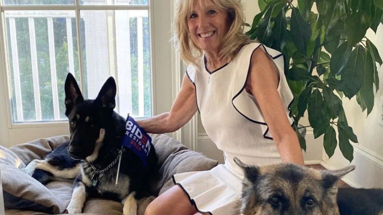 Biden Accidente con Mascota 2