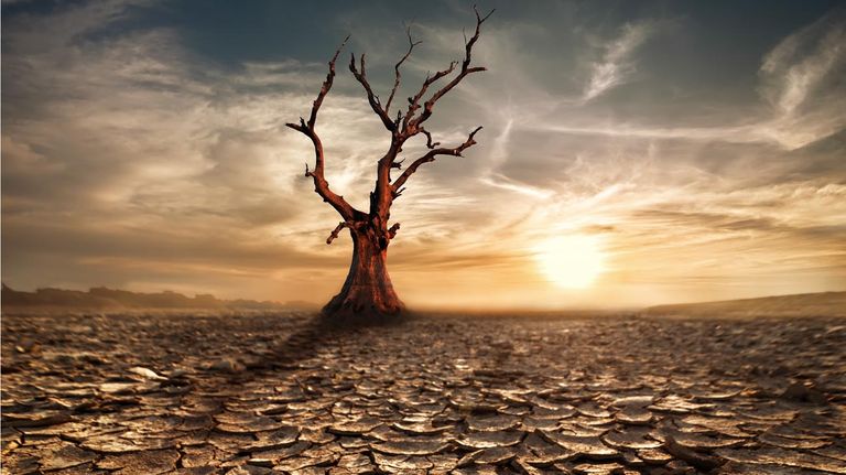 Alerta climática y calentamiento global 20220303