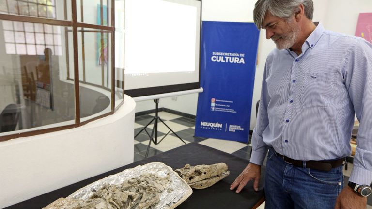 cocodrilo neuquen 15022019