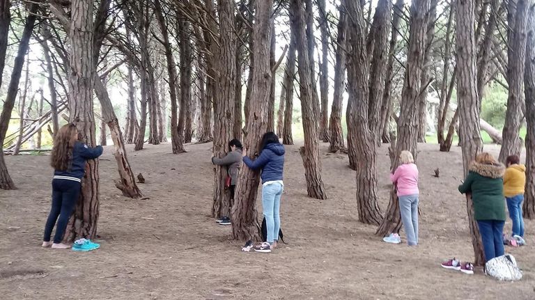 Bosque energético Miramar