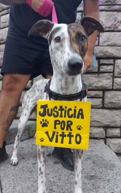 Marcha por Vitto 