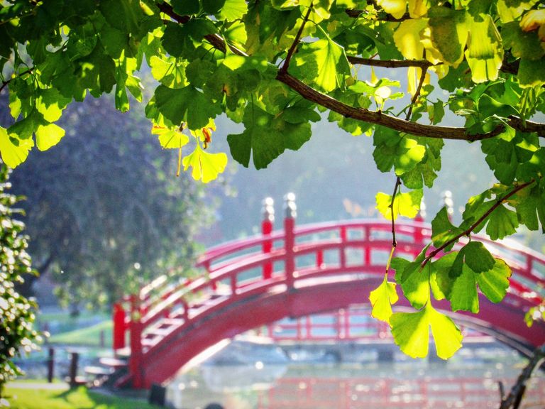 Jardín Japonés de Buenos Aires