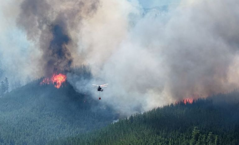 Incendios patagonia 2026