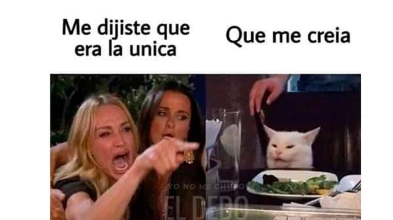 meme gato 08302019