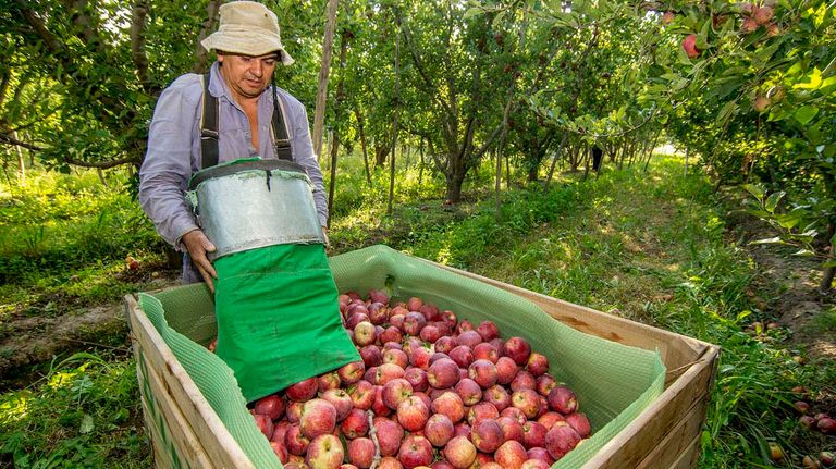 trabajadores rurales