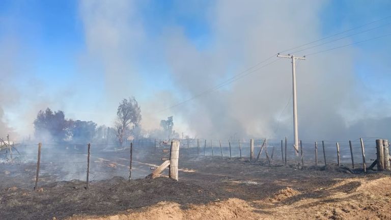 11-08-2025 incendios en Córdoba detenidos