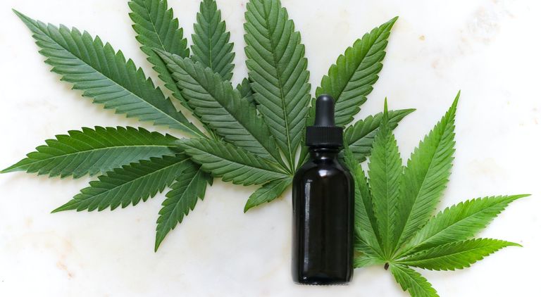 Estas son las propiedades del aceite de Cannabis que no conocías
