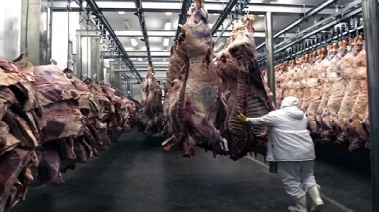 Carne