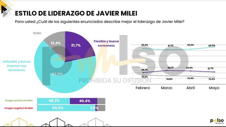 29-5-2024-Encuesta Pulso 2