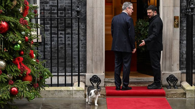 Larry, el gato del 10 Downing St.