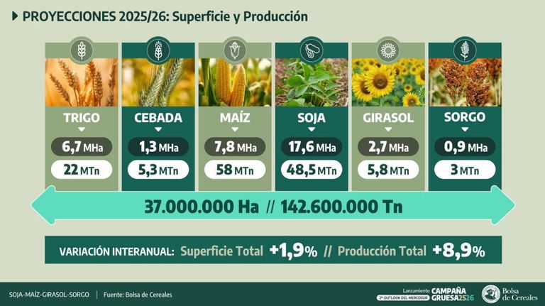 Presentación campaña gruesa 2025 26 20250930