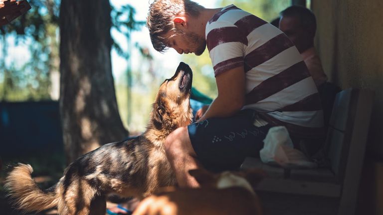7 señales de que un perro confía en su dueño 20220927º