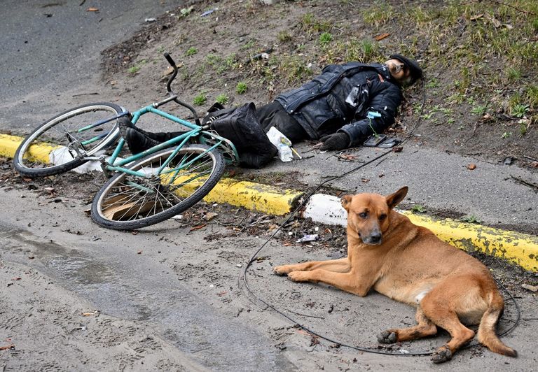 Las fotos más impactantes de 2022