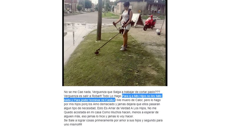 cortadora de pasto 20190206