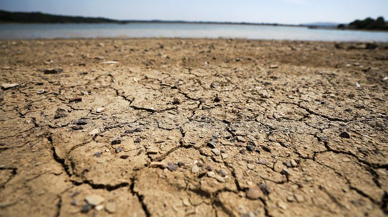 Cambio Climático 10082018
