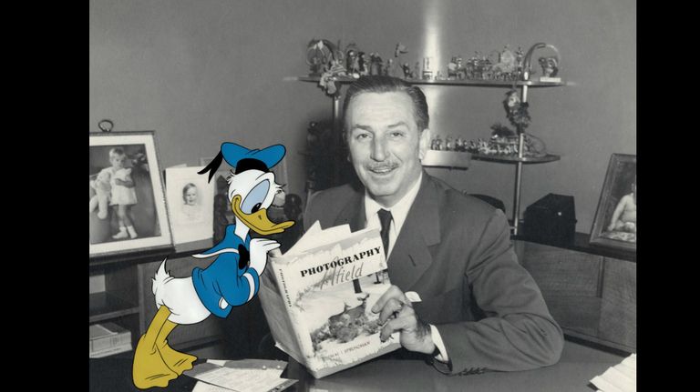 9 de junio, Día Mundial del Pato Donald