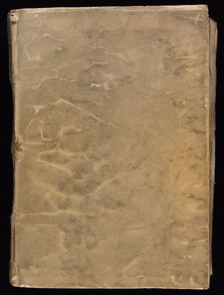Manuscrito Voynich