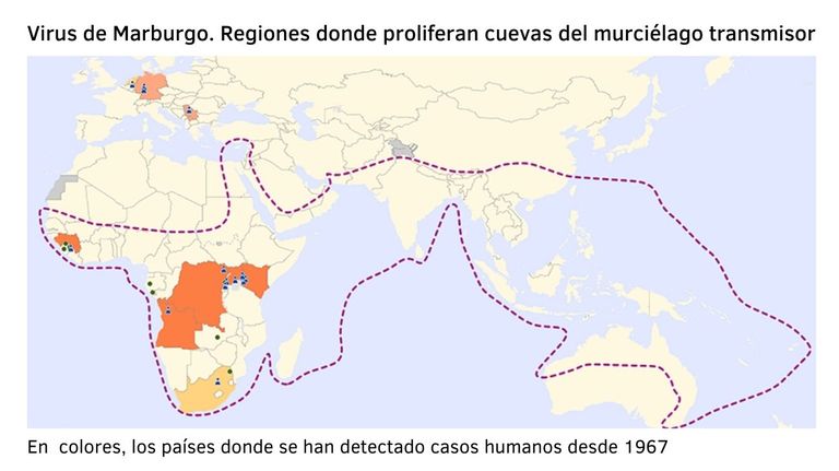 virus de Marburgo
