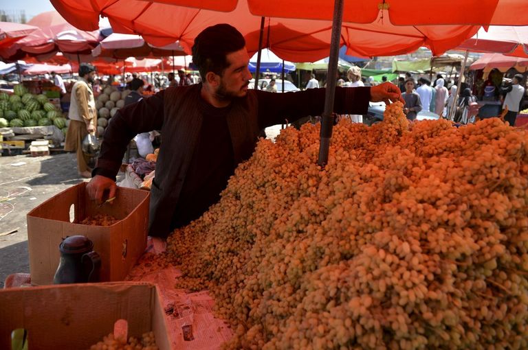 kabul afganistan talibanes