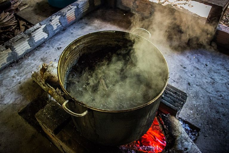 Estadounidense muerte tras consumir ayahuasca