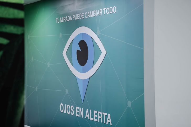 Ojos en alerta