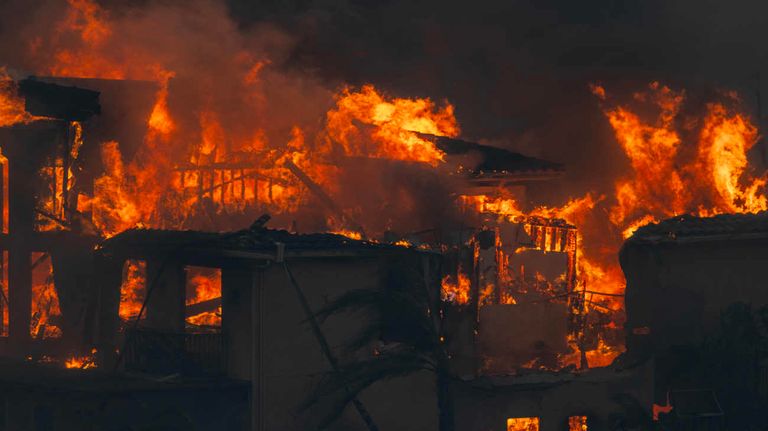 California incendio forestal Mountain Fire 20241108
