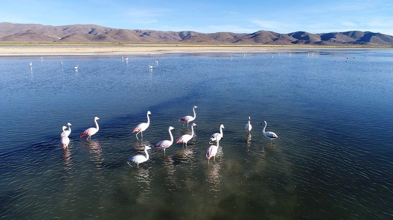 Parques Nacionales Invierno 20220705