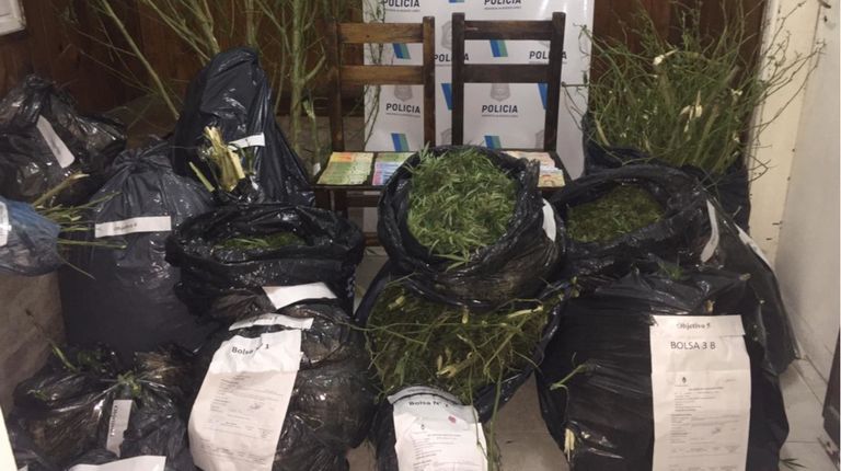 2021 04 13 Droga Secuestro Marihuana Operativo