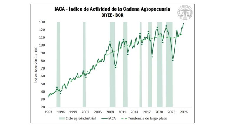 Actividad de cadena agropecuaria 23012026