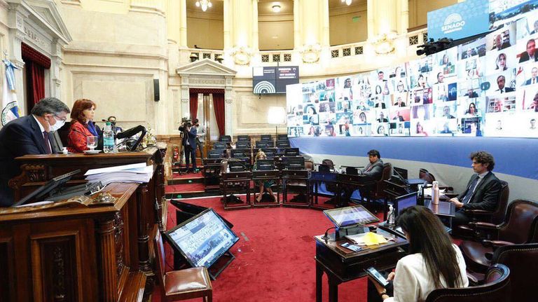 Primera sesión virtual del Senado-20200512