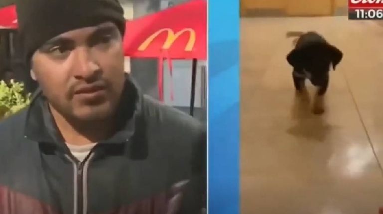 perrito indigente 20220516