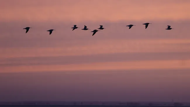 La ONU reporta la mayor restauración de ecosistemas pero advierte que no alcanza para 2030