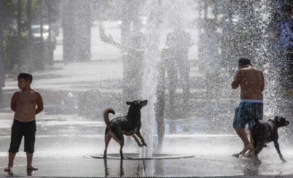 El calor extremo provocó 710 mil muertes en un año y crece la alerta sanitaria mundial