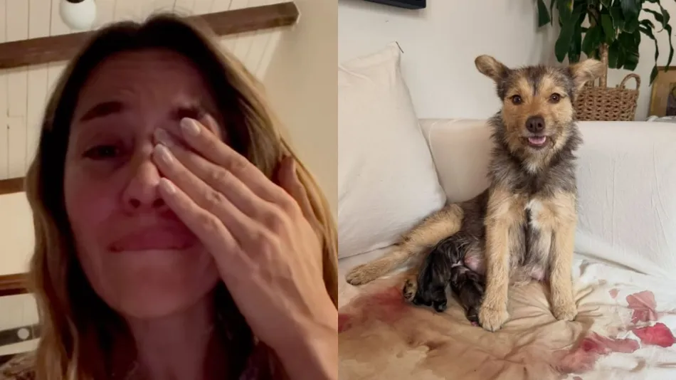 Jimena Barón se convirtió en "abuela": nacieron los cachorros de su perra Lucy y se emocionó hasta el llanto