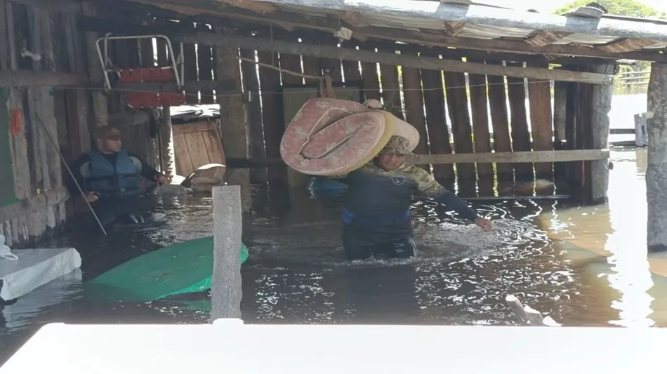 Inundaciones en Entre Ríos: cuánto cuesta trasladar la hacienda y cuál es el impacto en la ganadería