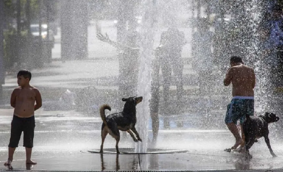 El calor extremo provocó 710 mil muertes en un año y crece la alerta sanitaria mundial