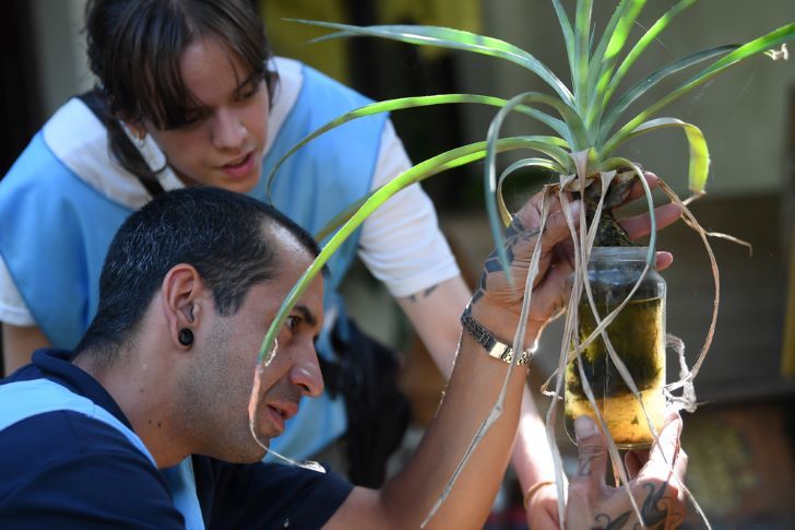 Córdoba: ya son 341 los casos de dengue en la Provincia