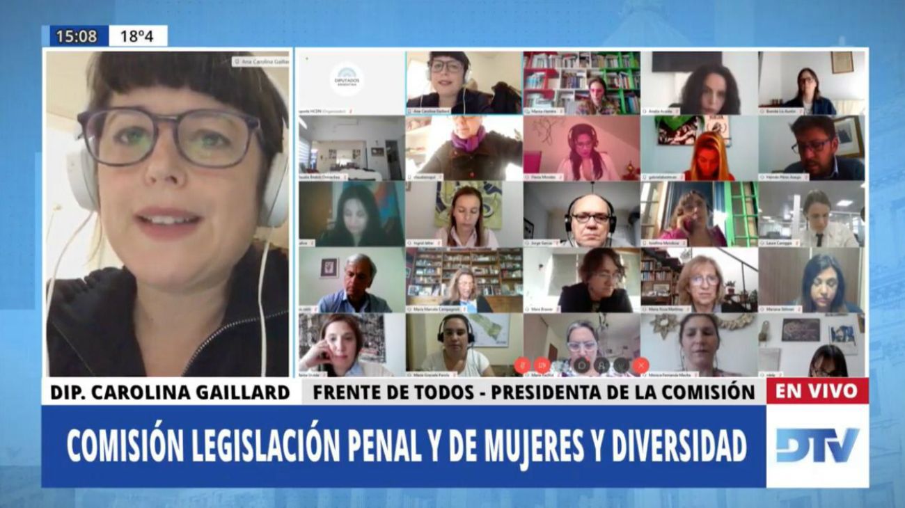 Diputados analizó proyectos sobre justicia penal y género con especialistas