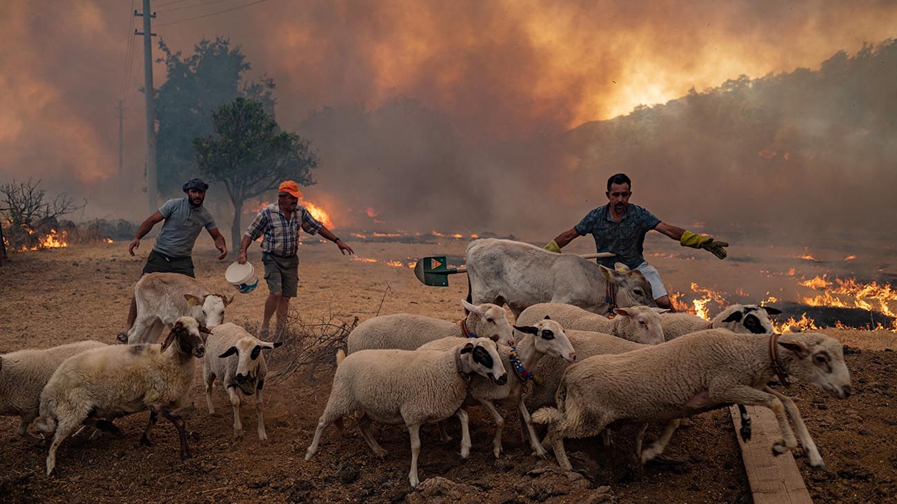 La gran ola de calor en Turquía y Chipre elevó la temperatura a los 50 grados
