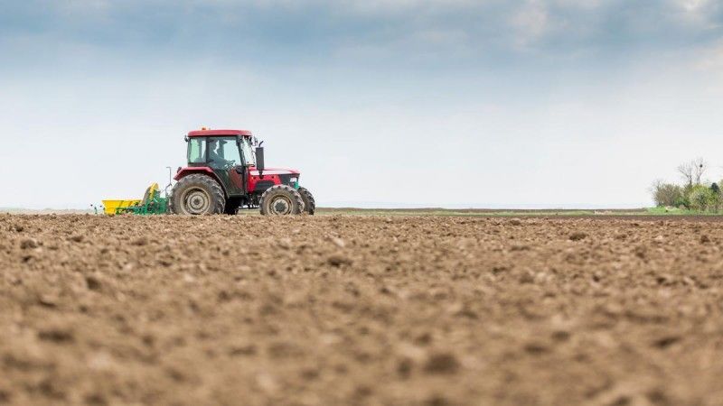 La confianza del agro cayó 15% en 2025