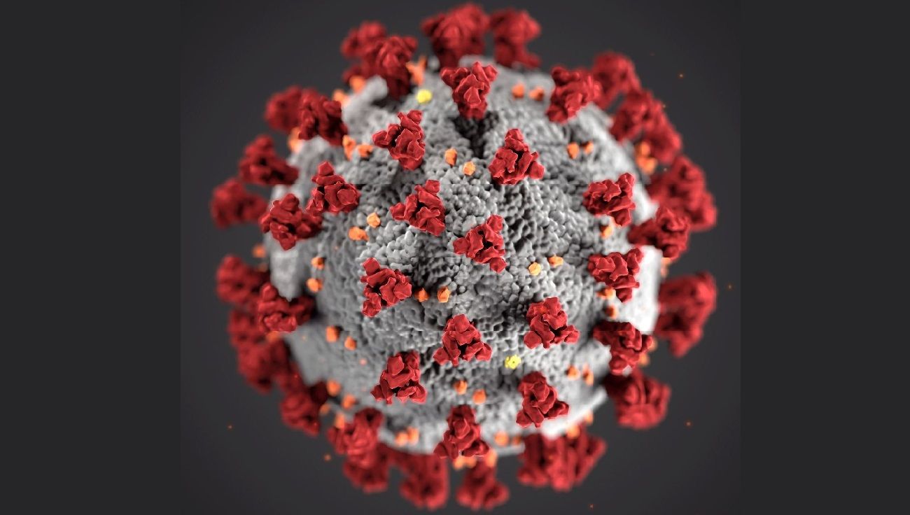 Covid-19, SARS-CoV-2 ¿cómo se llama realmente el virus y la enfermedad?
