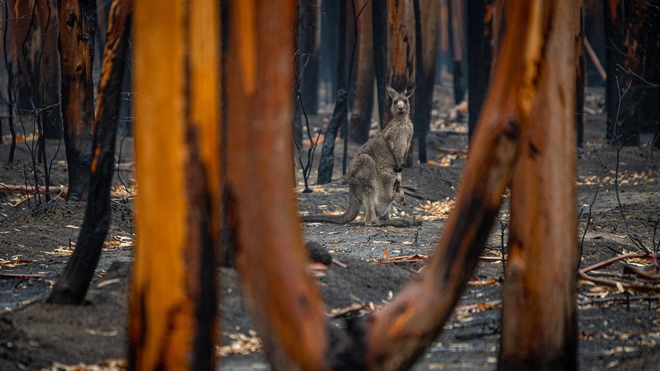 Planeta en alerta roja: la ONU advierte sobre efectos "irreversibles" y "sin precedentes" del cambio climático