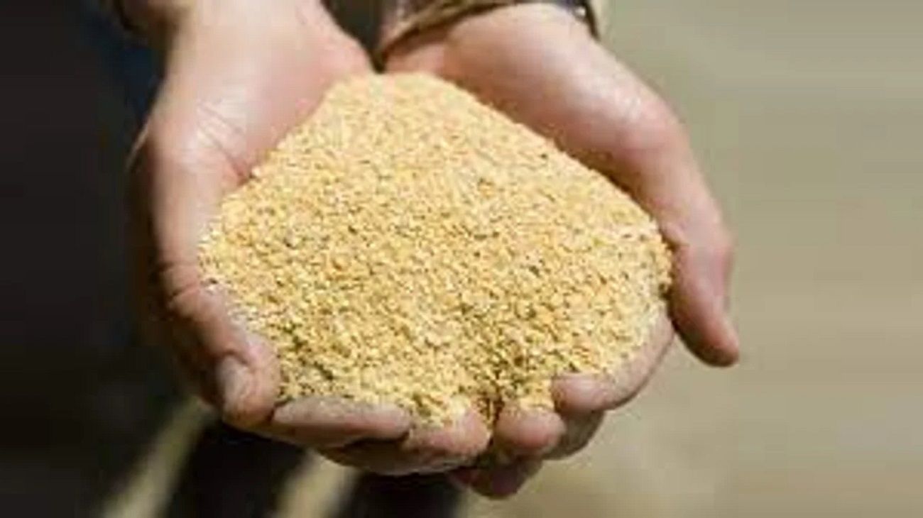 Exportación en peligro: cómo impacta en Argentina el aumento de la producción de harina de soja por parte de Estados Unidos