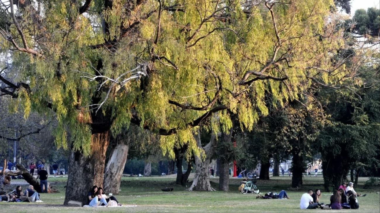 Una joven murió tras desvanecerse mientras trotaba en La Plata: "Fue desesperante"