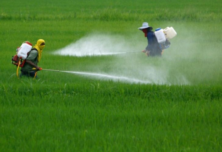 Denuncian que Monsanto manipuló estudios sobre el Glifosato