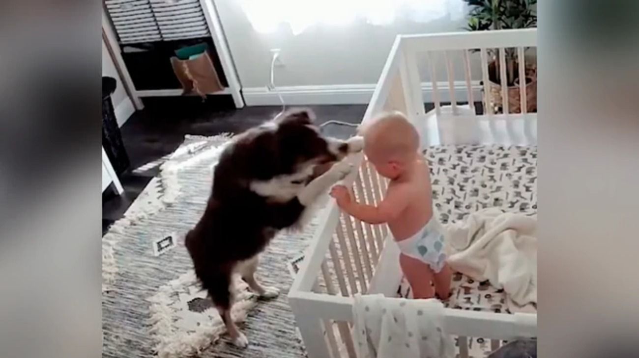 Instaló una cámara en el cuarto de su bebé y quedó atónita con lo que descubrió
